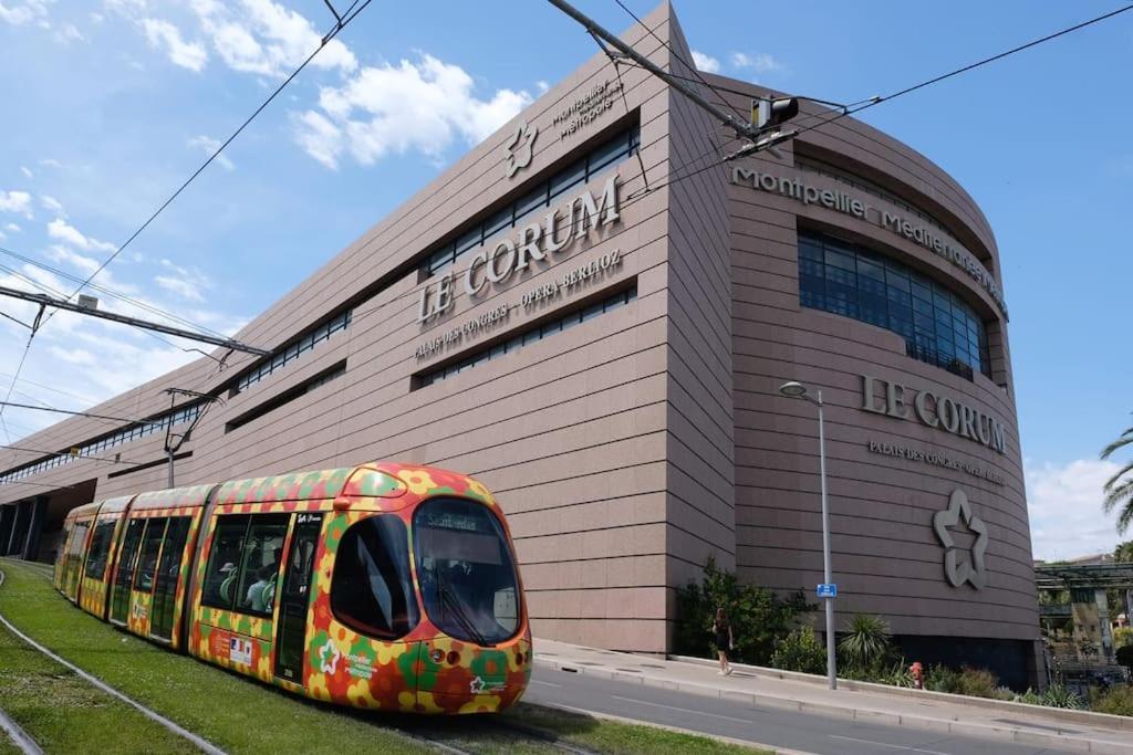 Confort Climatise Et Suite Privee En Sousplex Montpellier Eksteriør billede